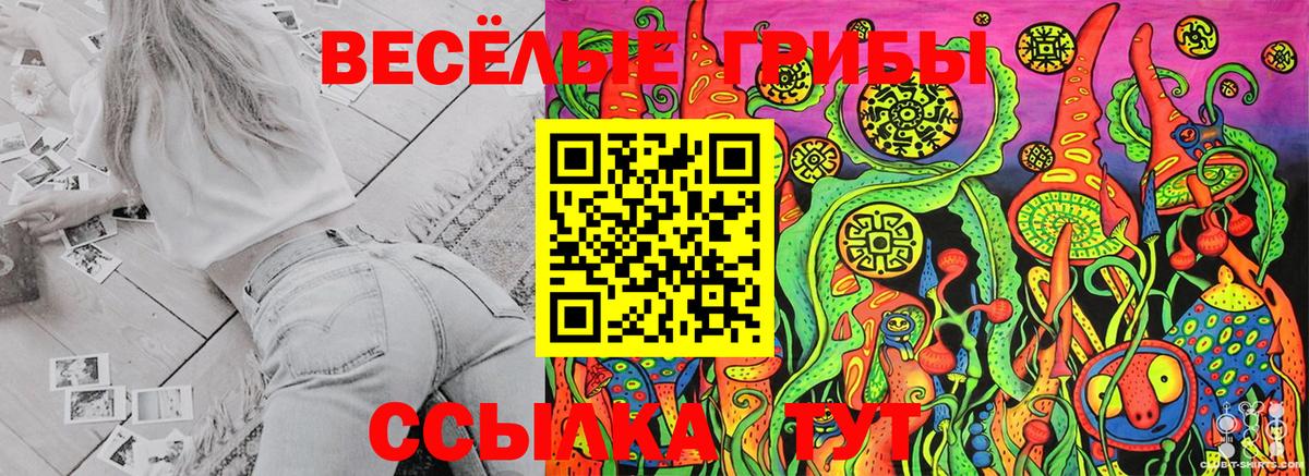 купить наркотики цена  Галлюциногенные грибы Magic Shrooms  Вход с VPN  Тавда 