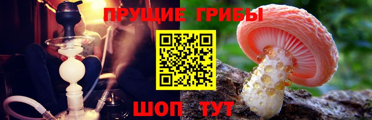 Галлюциногенные грибы Magic Shrooms Тавда